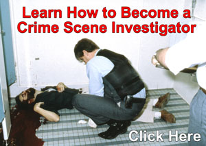 Essay want crime scene investigator