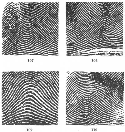 Fingerprints Best Fingerprint Patterns Fingerprints Best Fingerprint Patterns