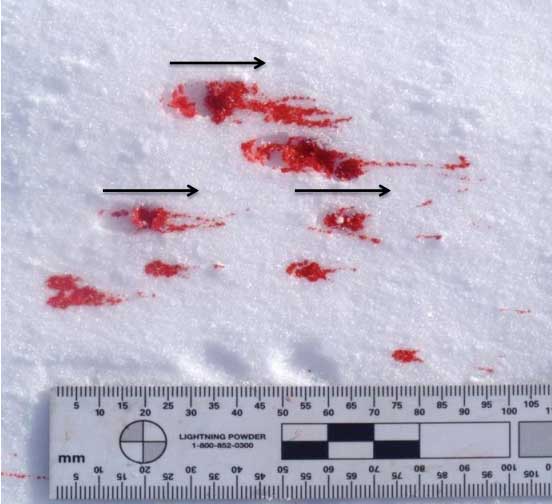 name and describe two methods for documenting bloodstain patterns