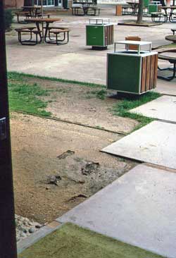 2011Shoe, Foot And Tire Impression Evidence - Mercyhurst College