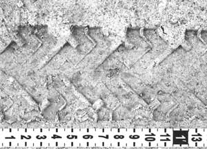 2011Shoe, Foot And Tire Impression Evidence - Mercyhurst College