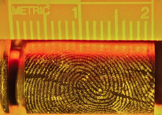 Optimized Development of Latent Fingerprints on Unfired and Fired