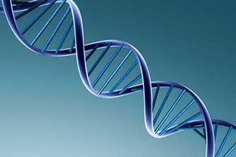 What Genetic Genealogy is Revealing about CODIS